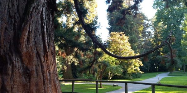 WhatsApp Bild 2025-01-12 um 17.03.00_edabcf19